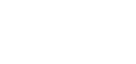 Lux Vision LLC